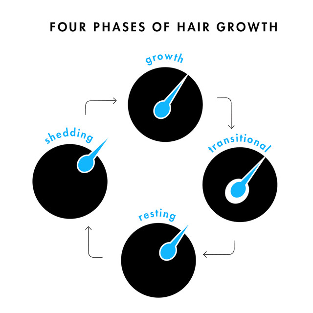 hair growth chart