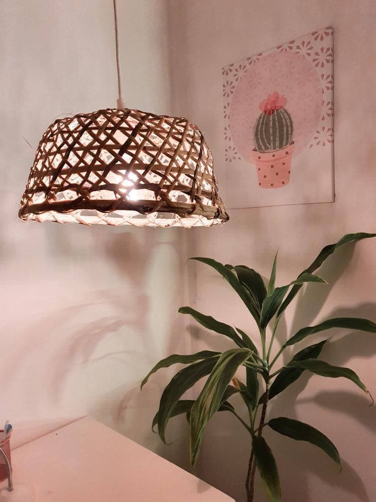 DIY room makeover - pendant light and plant