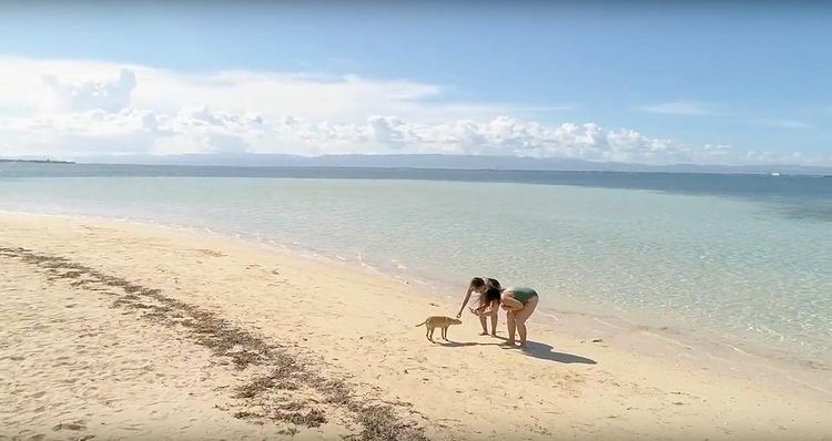 Career shift - Pinay in Pandanon Island, Cebu