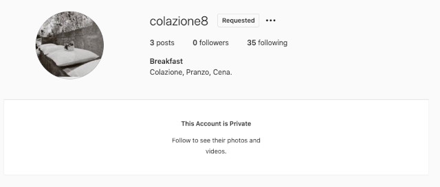 Harry Styles secret, fake Instagram account