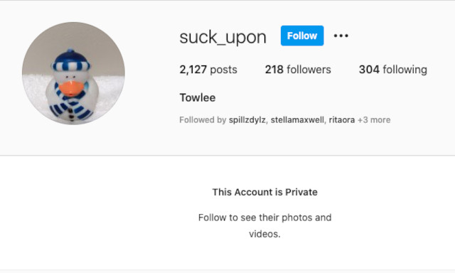 Kristen Stewart secret, fake Instagram account