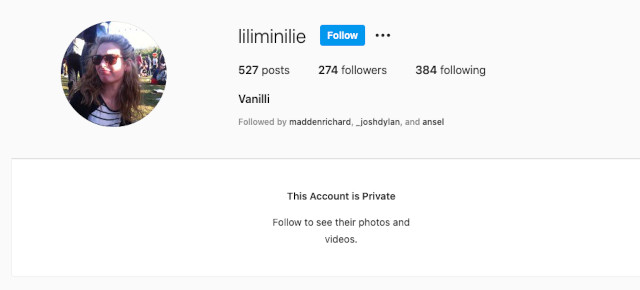 Lily James secret, fake Instagram account