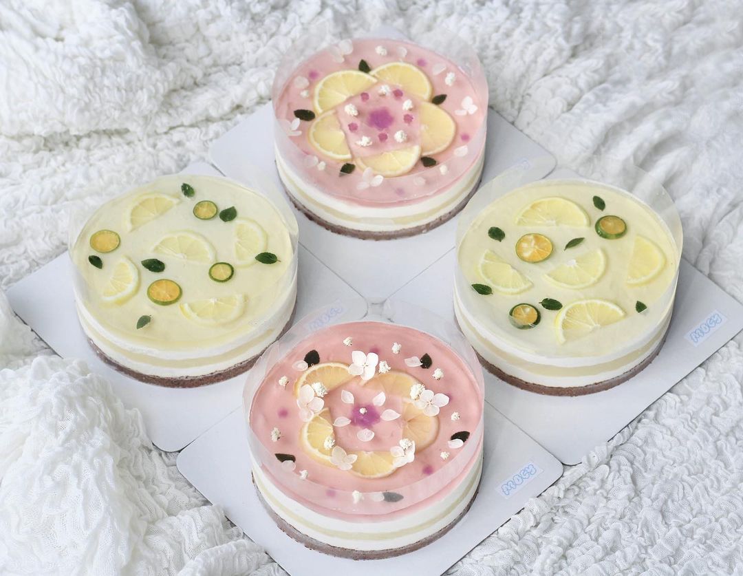 mocy jelly cakes