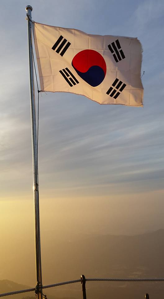 South Korea's flag