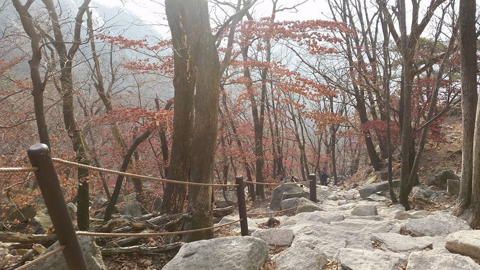 Mountain rocks in Bukhansan 