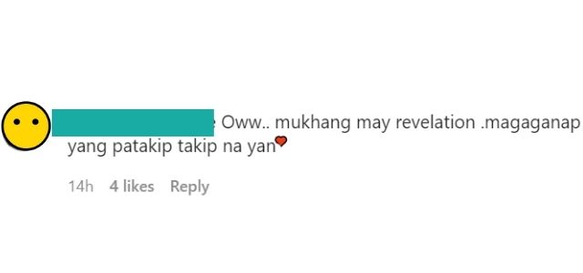 netizens comment on Michelle Vito's instagram photo speculating pregnancy