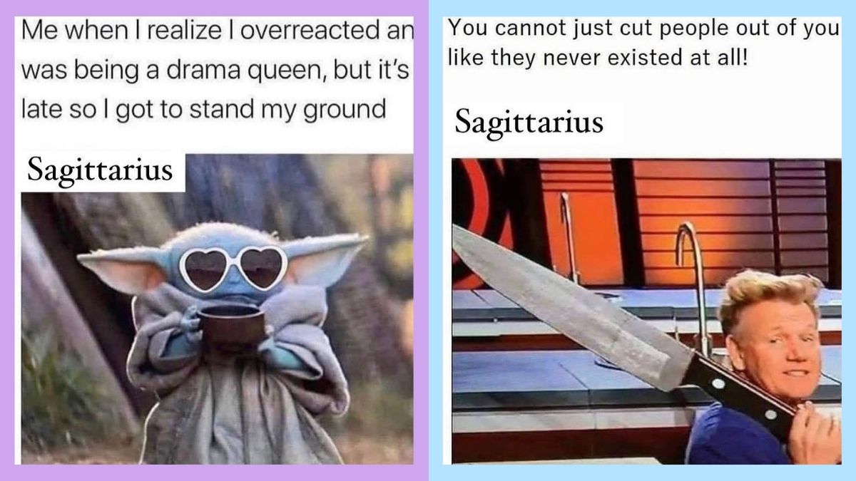 Best Sagittarius memes