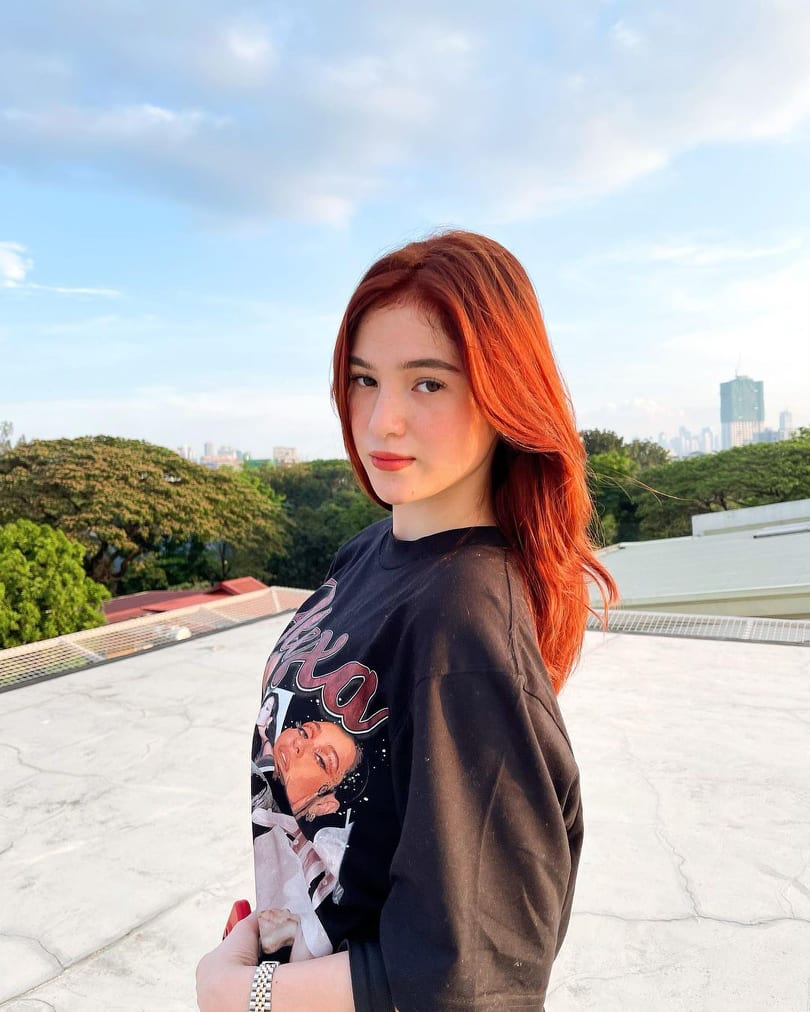 Barbie Imperial Dyes Hair Red