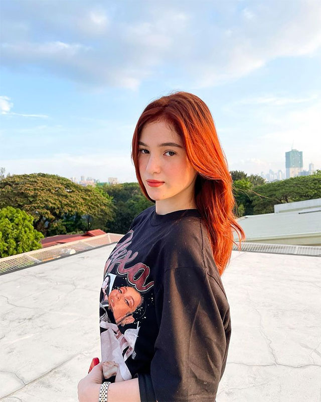 barbie imperial red hair color