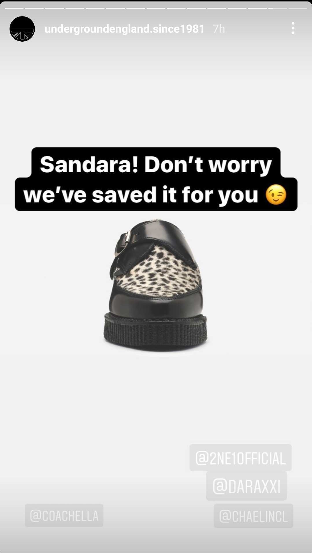 Sandara Park Coachella shoes