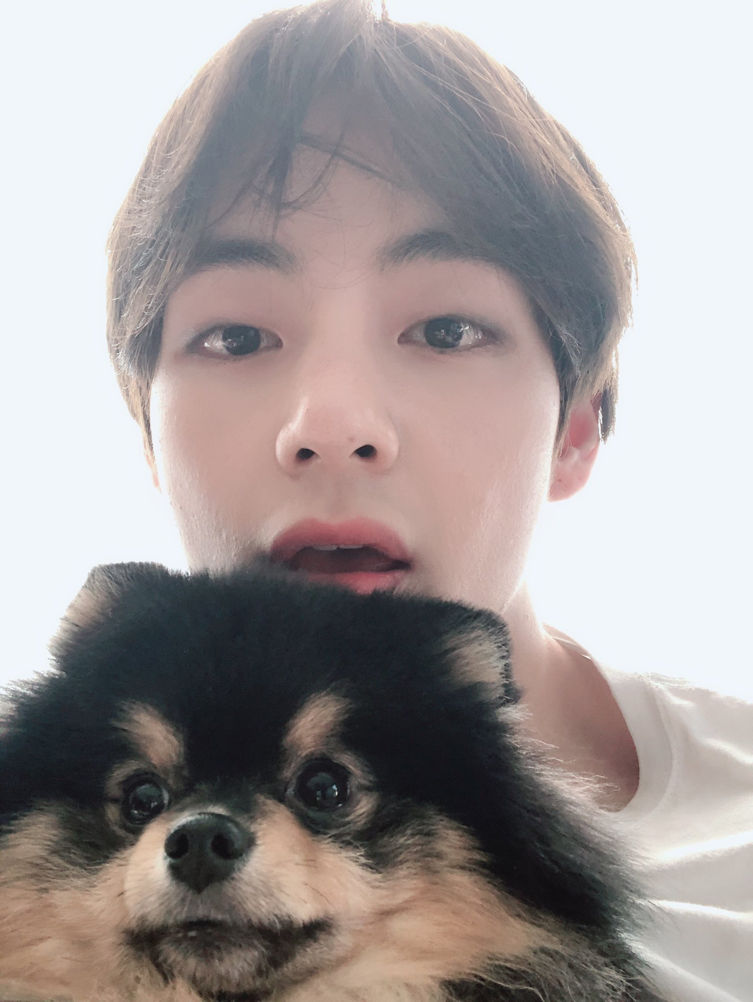 BTS' V and Yeontan