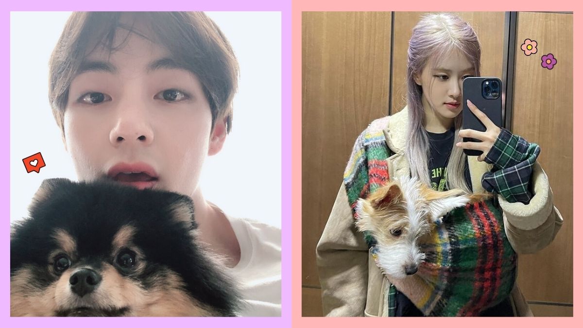 8 K-Pop Idols  Who Are Pet Owners