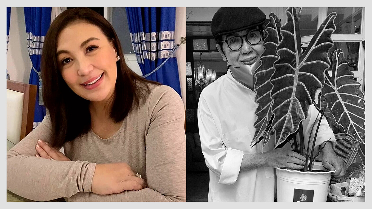 Sharon Cuneta Images