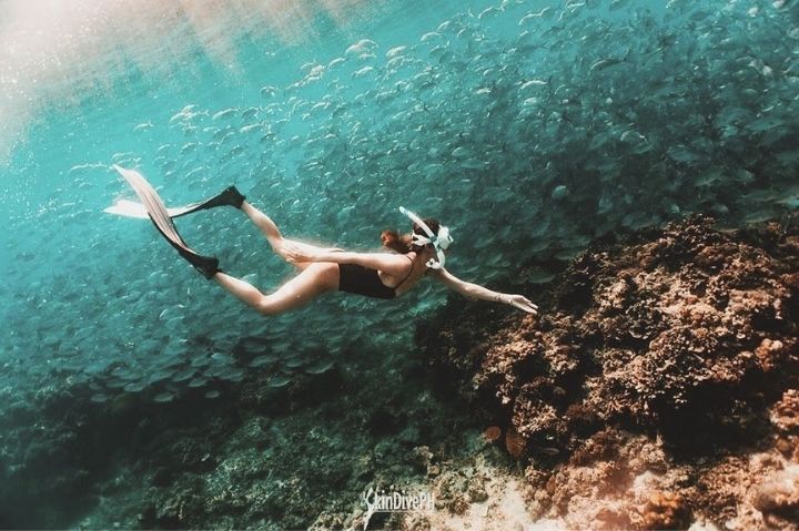sam pinto snorkeling with fish