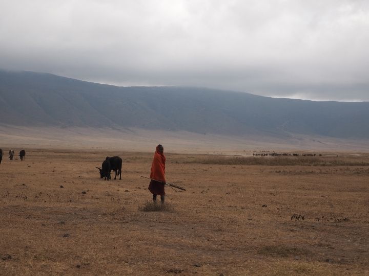 African safari, Tanzania, Maasai, Masai people
