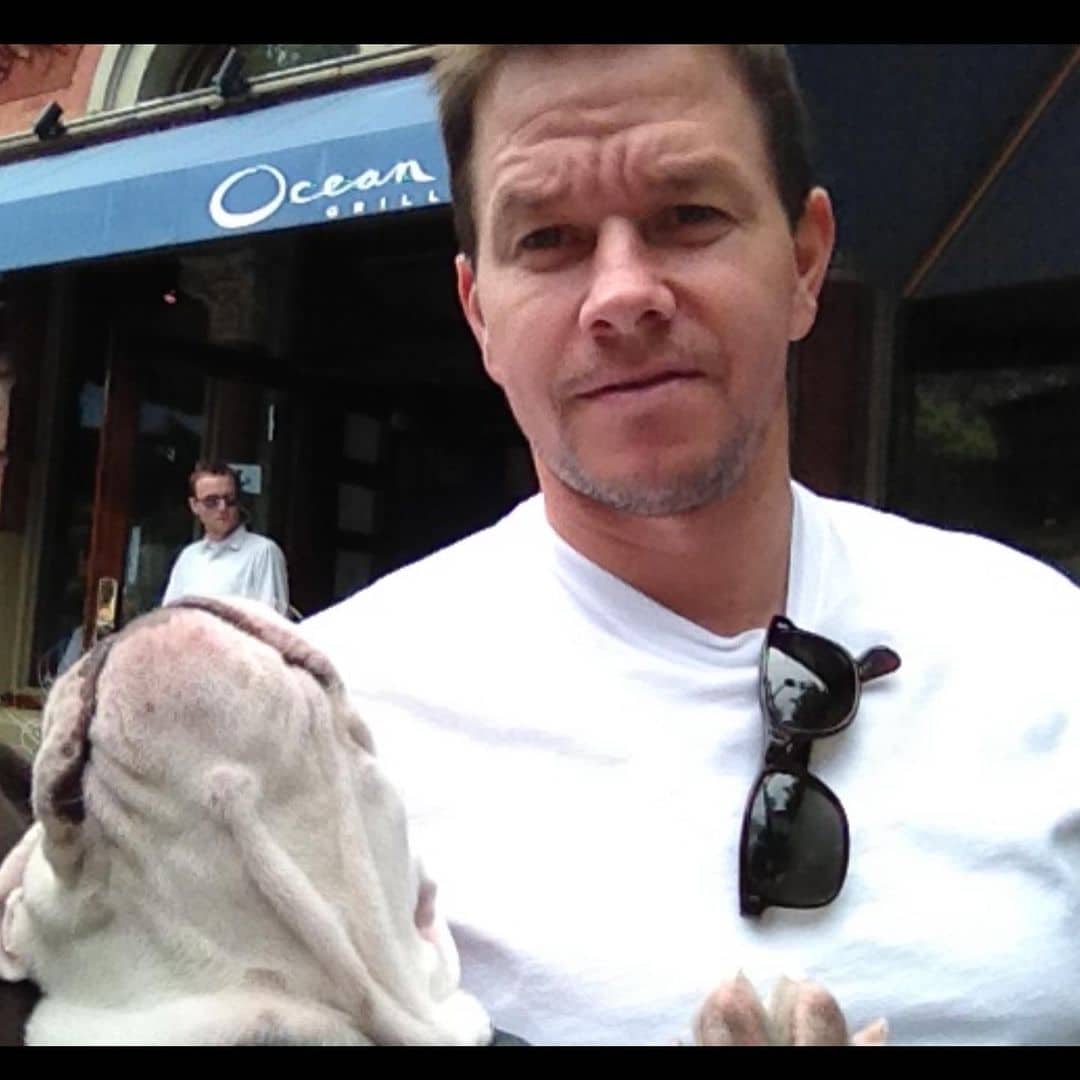 Mark Wahlberg with DJ Mo Twister's English bulldog, Bamboo