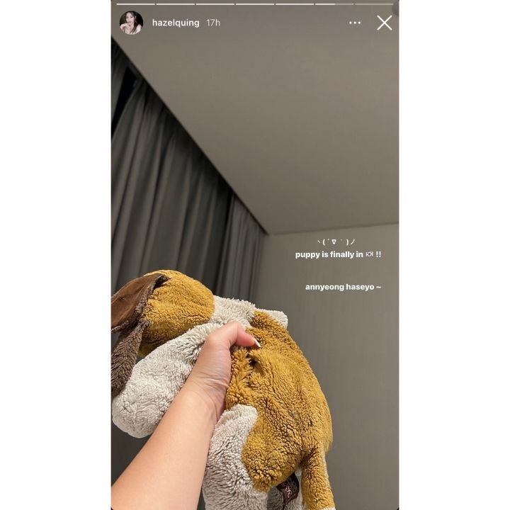 Hazel Quing's puppy stuffed toy