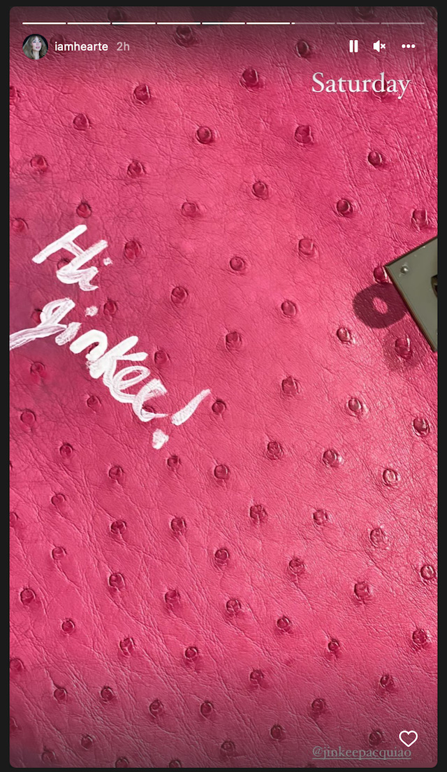 Woah! Heart Evangelista Just Painted on Jinkee Pacquiao’s Pink Hermès Bag