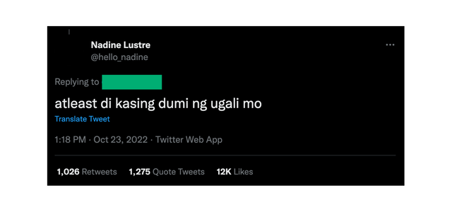 nadine lustre claps back at netizen 