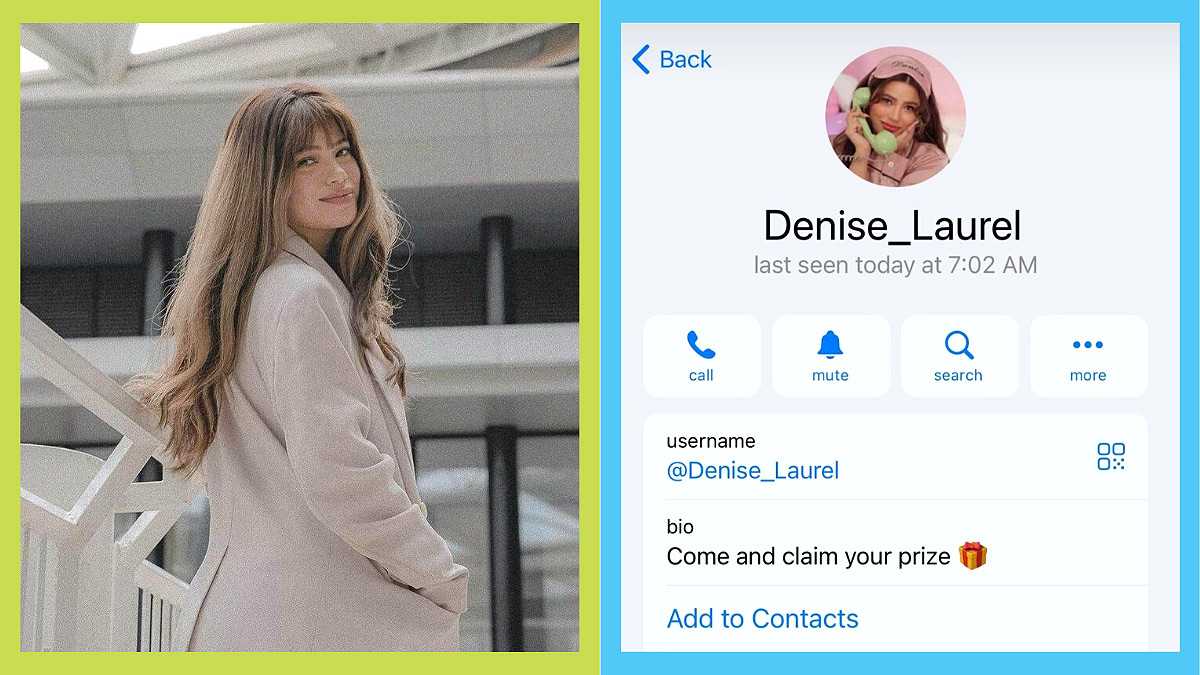 Denise Laurel warns public against poser using her name 