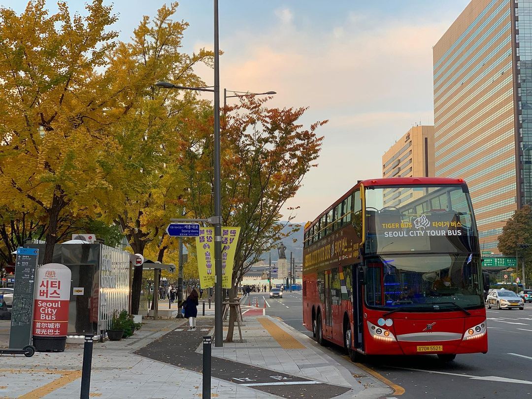 Seoul City Bus