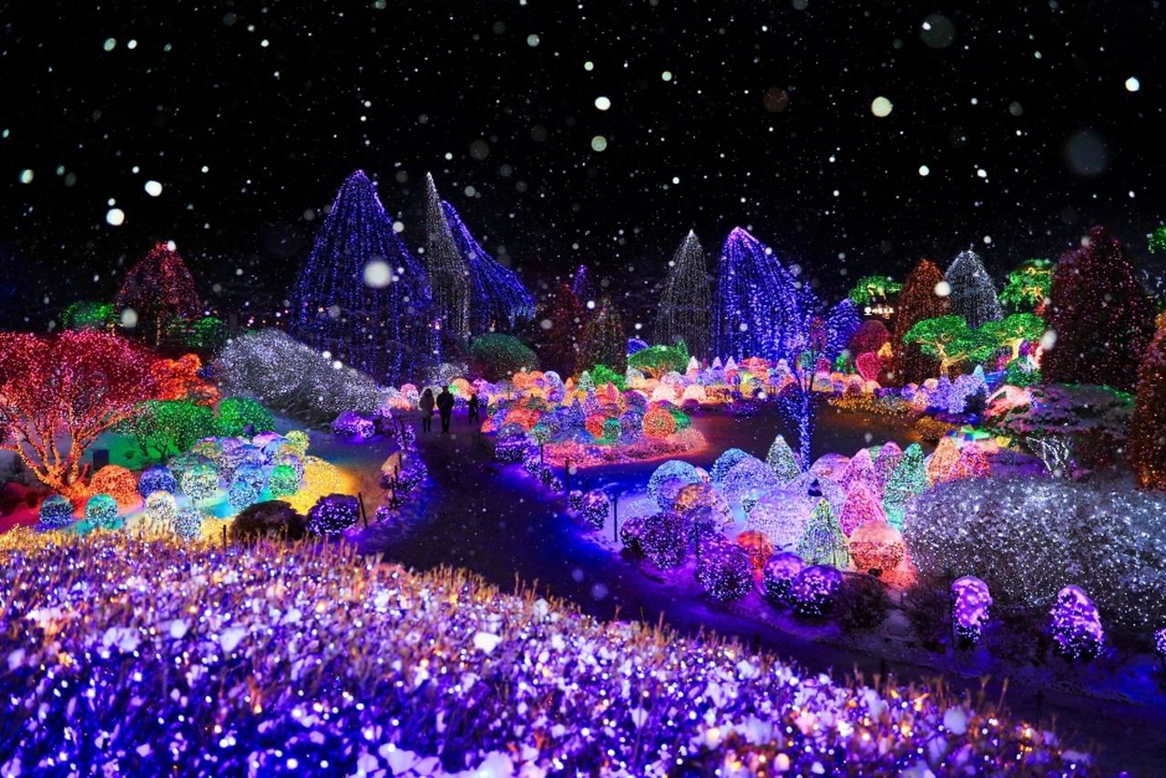 South Korea winter season