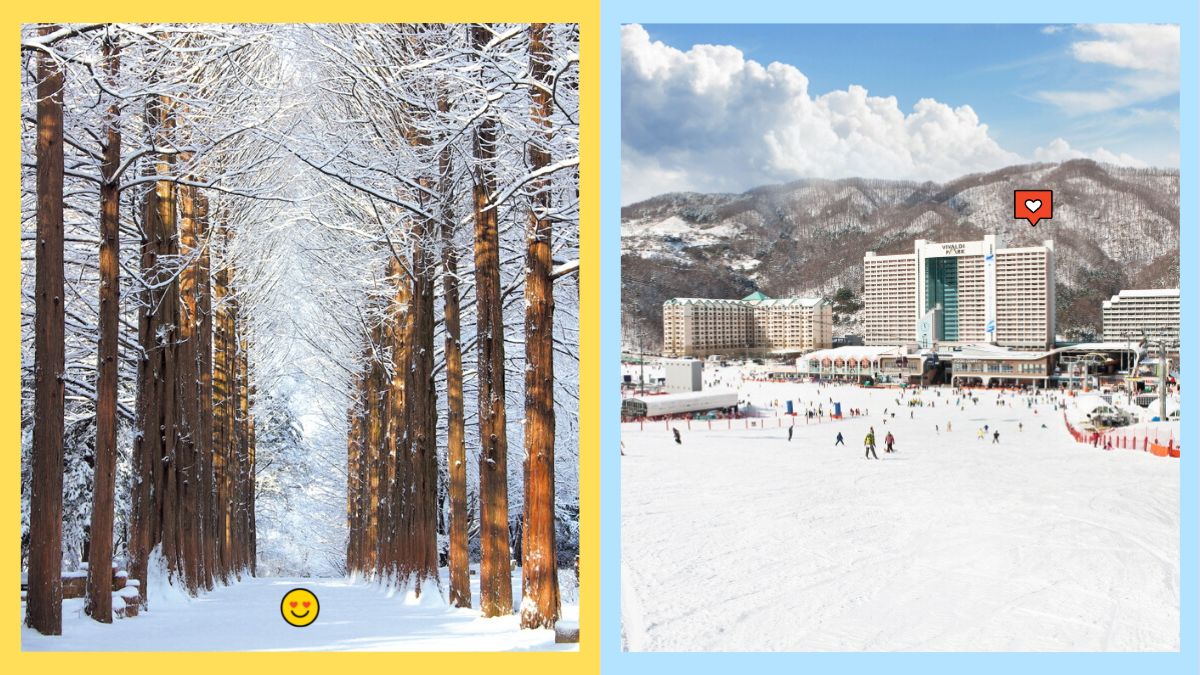 6 Winter Activities To Try When You Visit South Korea