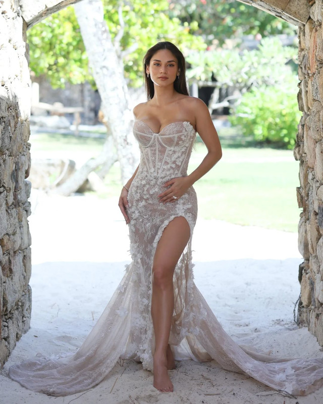 Pia Wurtzbach bridal beauty and gown