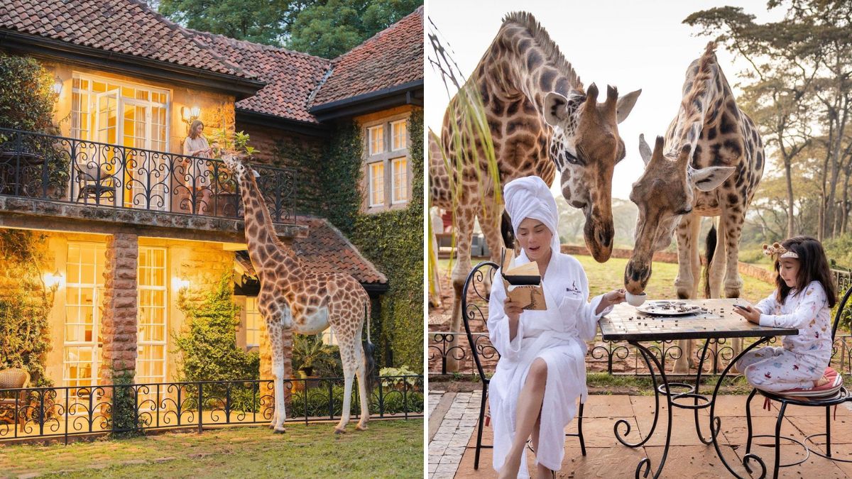 Here's How Much It Costs To Stay At Giraffe Manor In Kenya