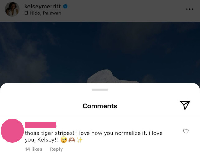 Kelsey Merritt tiger stripes comment