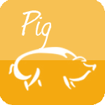 pig.png