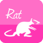 rat.png