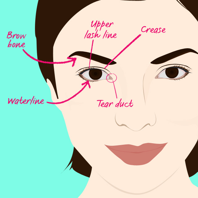 Parts Of Your Face A Cheat Sheet