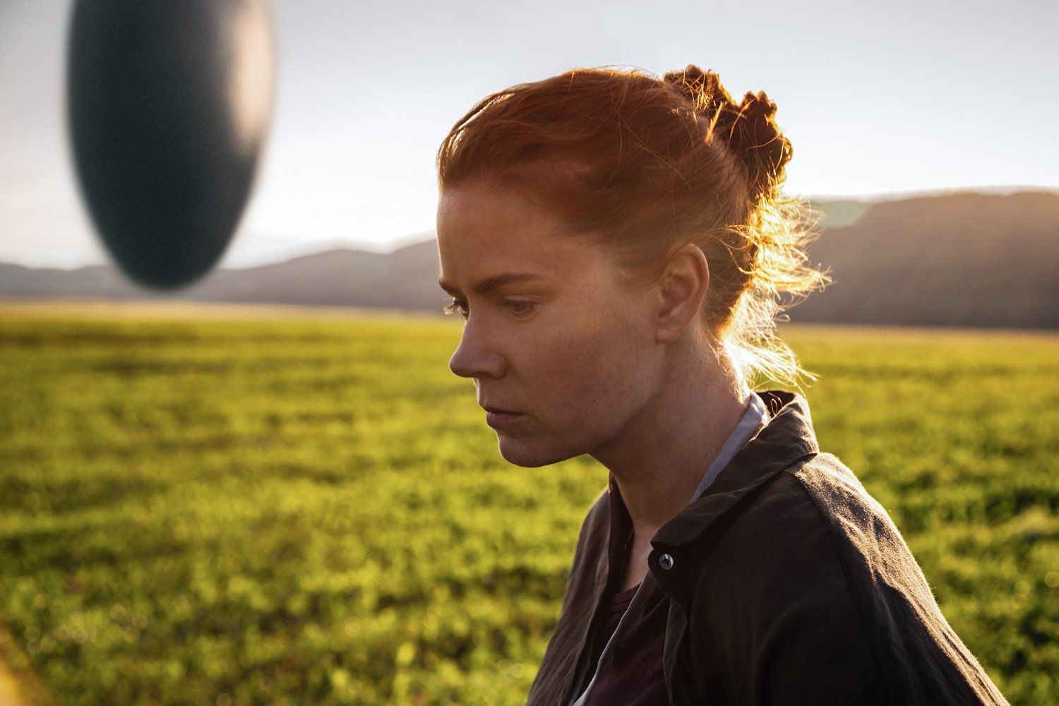 movie review of arrival