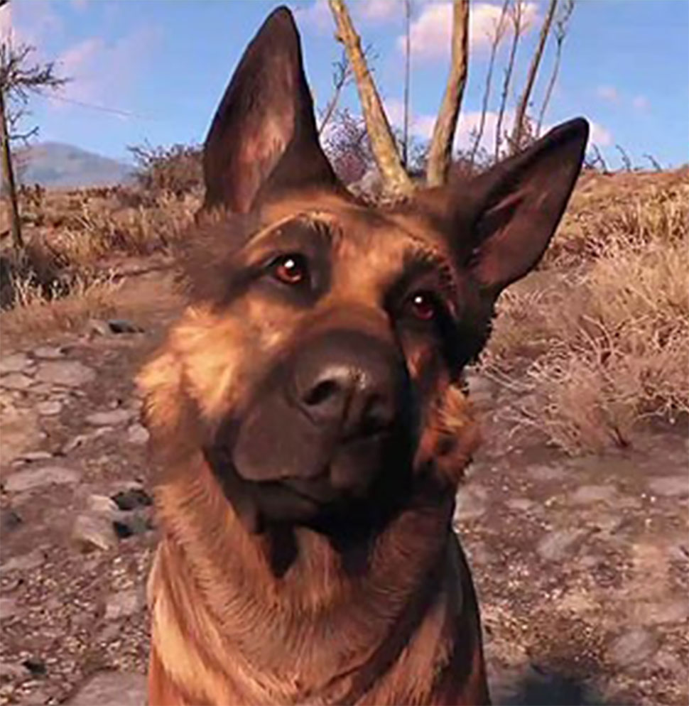 Fallout 4 4k dogmeat фото 41