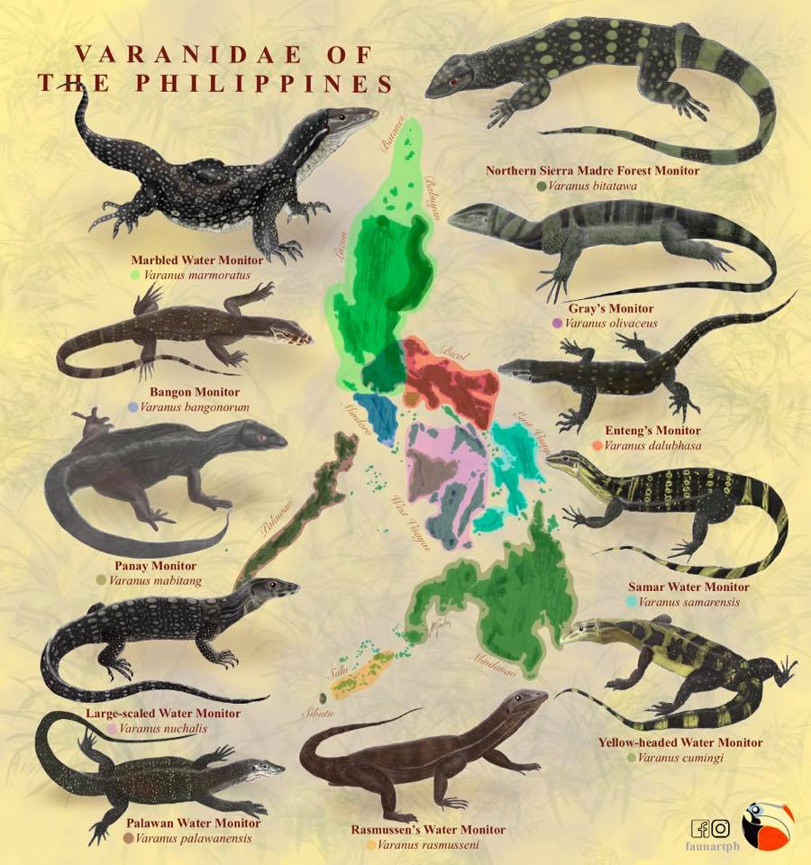 Juan Miguel Santos Created Beautiful Maps of Philippine Wildlife