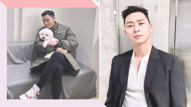 Park Seo Joon: Things You Didn'T Know About The Korean Actor