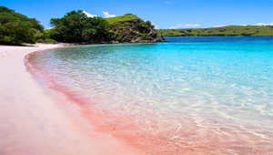 10 Of The Prettiest Pink Beaches From All Over The World