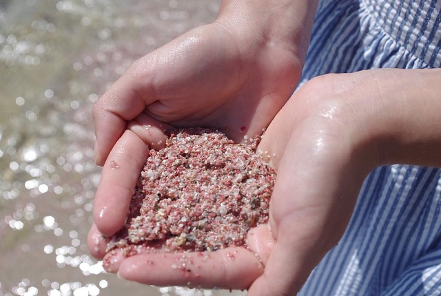 Pink Beach In Zamboanga Philippines