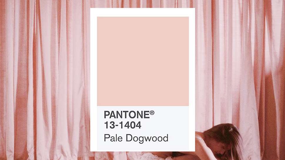 This Chic Shade Of Pink Is The Real Color Of The Year