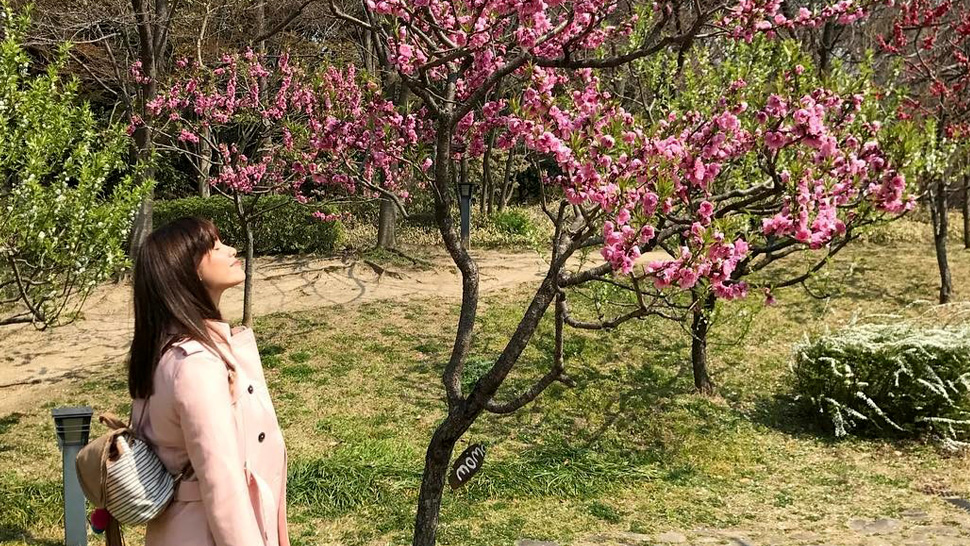 Jessy Mendiola's Instagram Posts In Japan Are Pretty In Pink