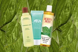 9 Mint-based Products To Keep You Fresh All Day
