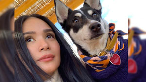 Heart Evangelista's Dog Panda Is Living A Fabulous Life And Here's Proof