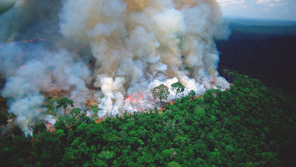 The World's Largest Rainforest Is on Fire and Here's Why We're Alarmed