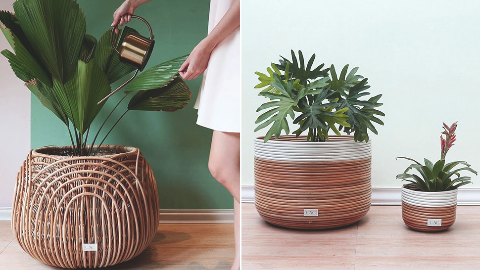 6 Online Stores To Shop For Planters To Decorate Your Home