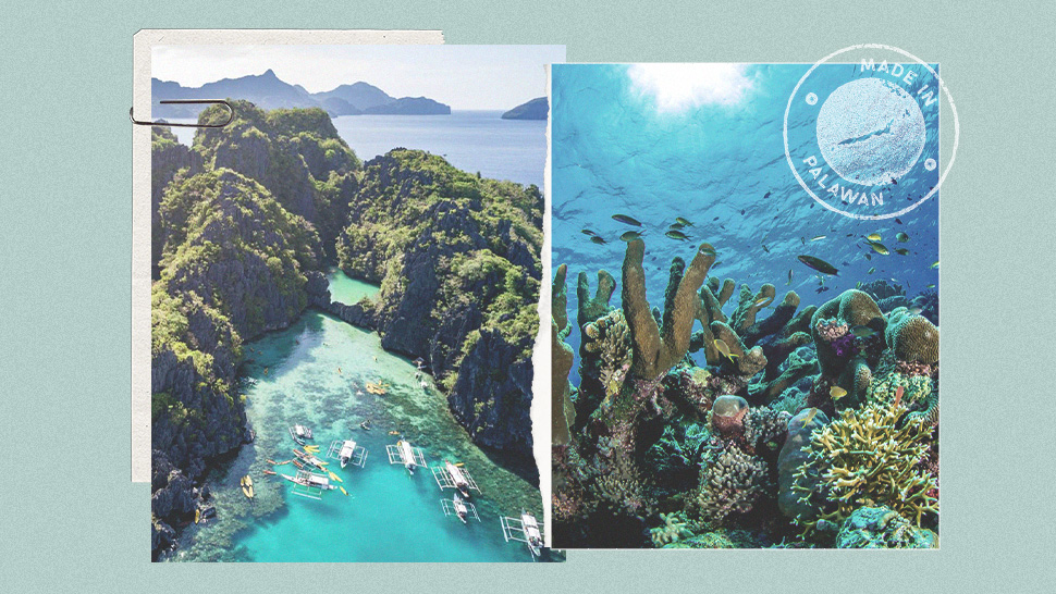Philippines Hailed As World's Best Diving Destination