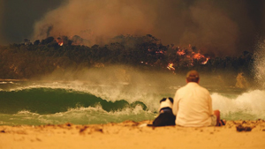 Australia Is Burning And Here's What You Can Do To Help!