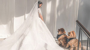 This Couple Flew Their Dogs From The U.s. For Their Wedding Day