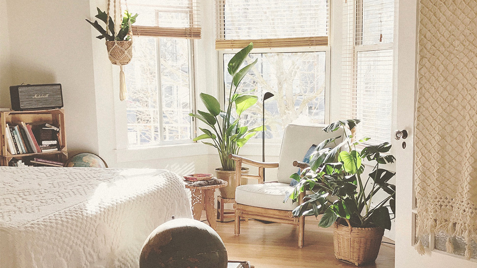 Study Shows Having A Plant On Your Desk May Reduce Workplace Stress