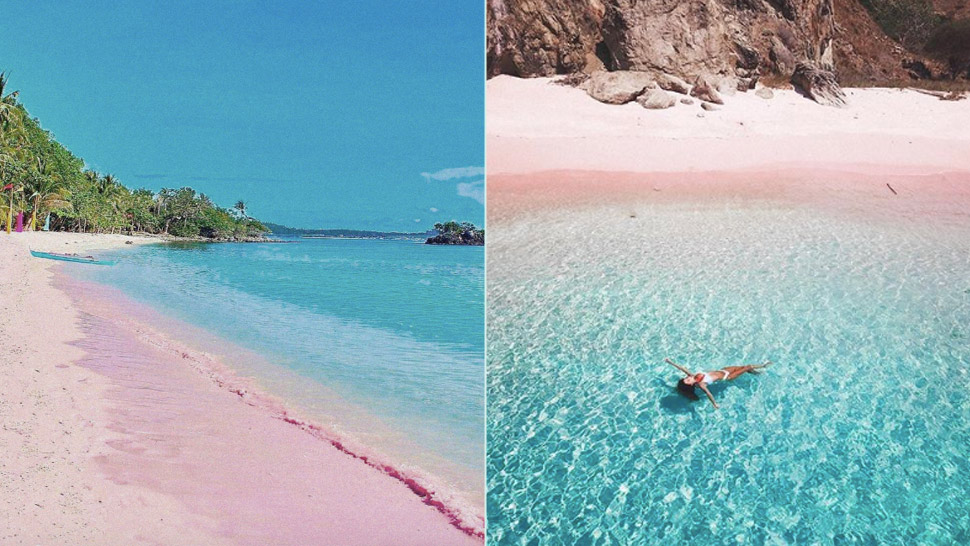 10 Best Pink Beaches In The World That You Need To See Before You Die